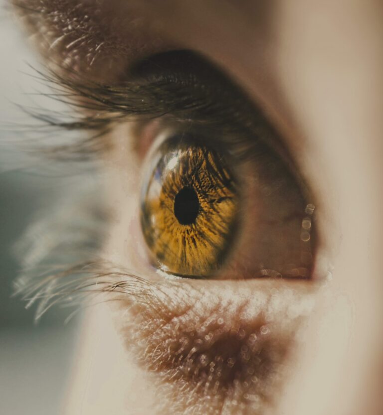 Ochtendlicht_1